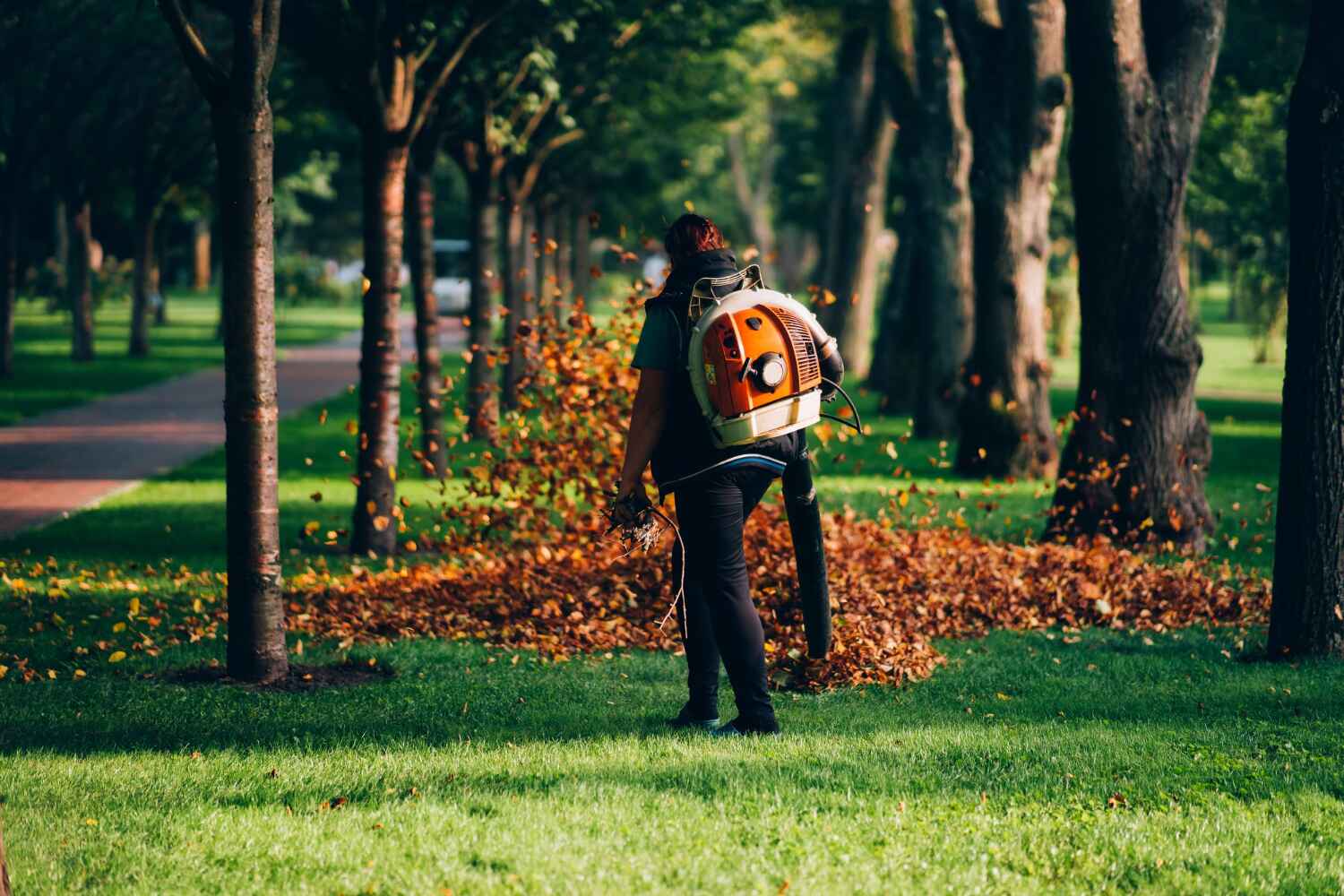 Best Tree Trimming Near Me  in Shrewsbury, NJ